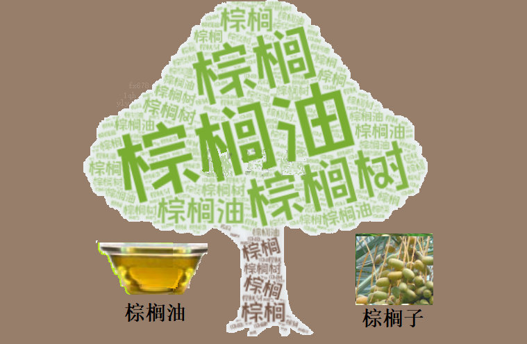 棕榈油站上4000关口后，短期需求面临考验
